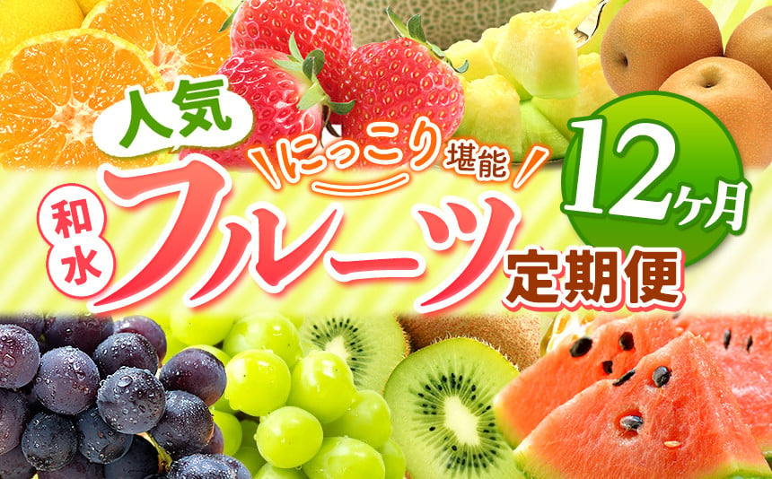 
【 定期便 12回 】 ニッコリ 堪能 ！ 人気 フルーツ ご家庭用 熊本県なごみ町 | 熊本県 熊本 くまもと 和水町 なごみ フルーツ 果物 いちご みかん 不知火 スイカ メロン イエローキング 肥後グリーン キウイ ぶどう シャインマスカット 梨 柿 厳選 旬 定期 定期便
