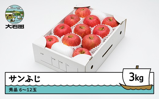 【先行予約】 りんご サンふじ 秀品 3kg 化粧箱入 令和8年産 2026年産 12月上旬~1月中旬頃発送 山形県産  フルーツ 果物 ns-risfx3
