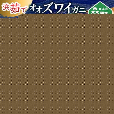 ふるさと納税 森町 【訳あり】浜茹でオオズワイガニ 2.0kg 詰め込みセット 北海道噴火湾産