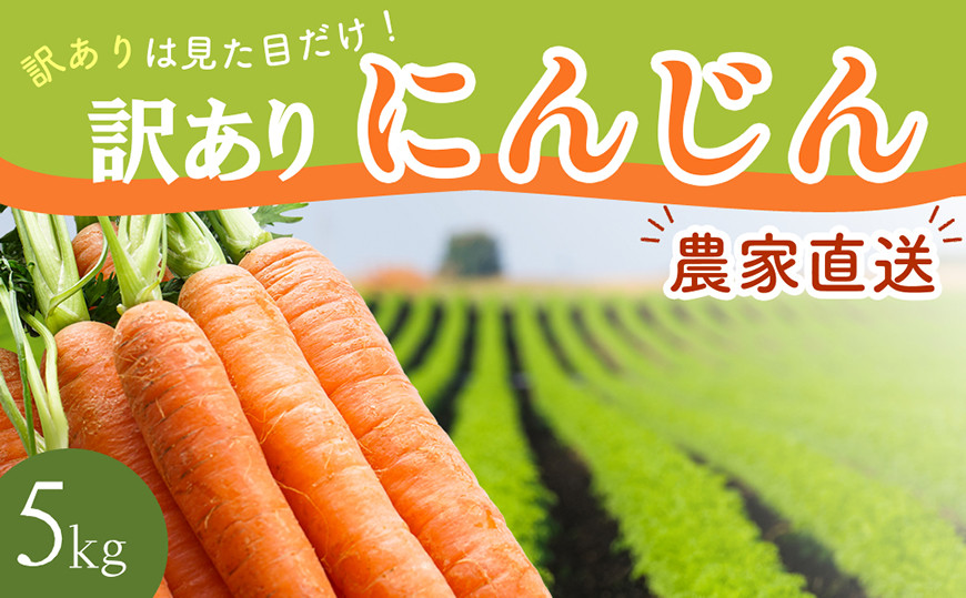 
                  BH051 人参 訳あり 堀農園のこだわり人参 約5kg  [ 野菜 訳アリ にんじん ニンジン キャロット 5キロ 先行予約 常備野菜 国産 贅沢宝庫 長崎県 島原市 ]
                