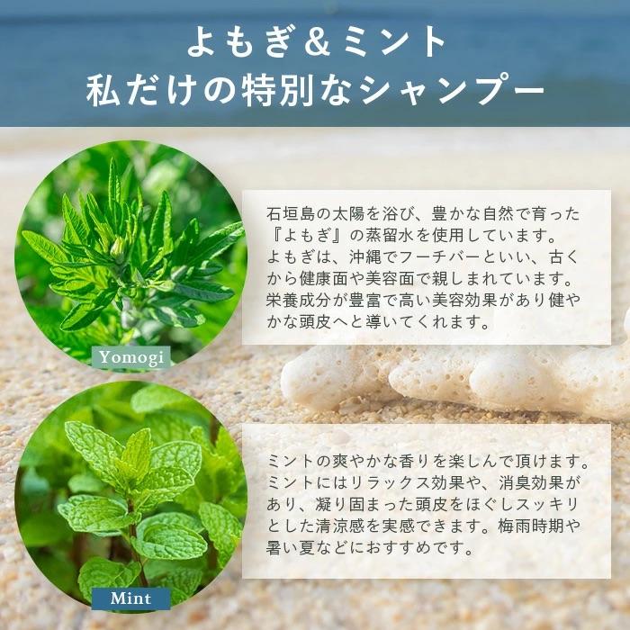 ふるさと納税 石垣市 オーガニックオンリーシャンプー　月桃&レモングラス、よもぎ&ミント 2本セット(パウチタイプ) |  | 03