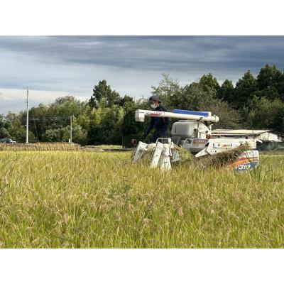ふるさと納税 榛東村 【令和8年度産】お米コシヒカリ(精米) 10kg【ストロベリーみなみ】 |  | 03