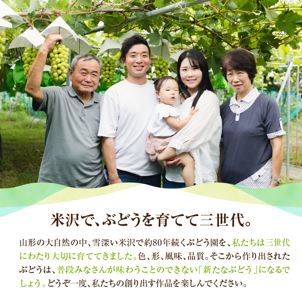 《 先行予約 / 令和7年産 》 訳ありシャインマスカット1kg