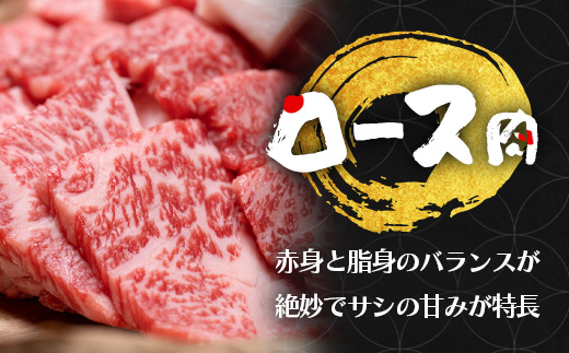 くまもと 黒毛和牛 カルビ・ロース 焼肉 食べ比べ セット 合計300g (お肉ソムリエ開発 焼肉のたれ付） ソムリエ セレクト カルビ ロース 焼き肉 やき肉 タレ付 本場 熊本県 ブランド 牛 肉