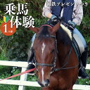 【ふるさと納税】体験乗馬 お1人様用 (蹄鉄プレゼントつき) | 馬 乗馬 体幹トレーニング ふれあい 奈良県 平群町