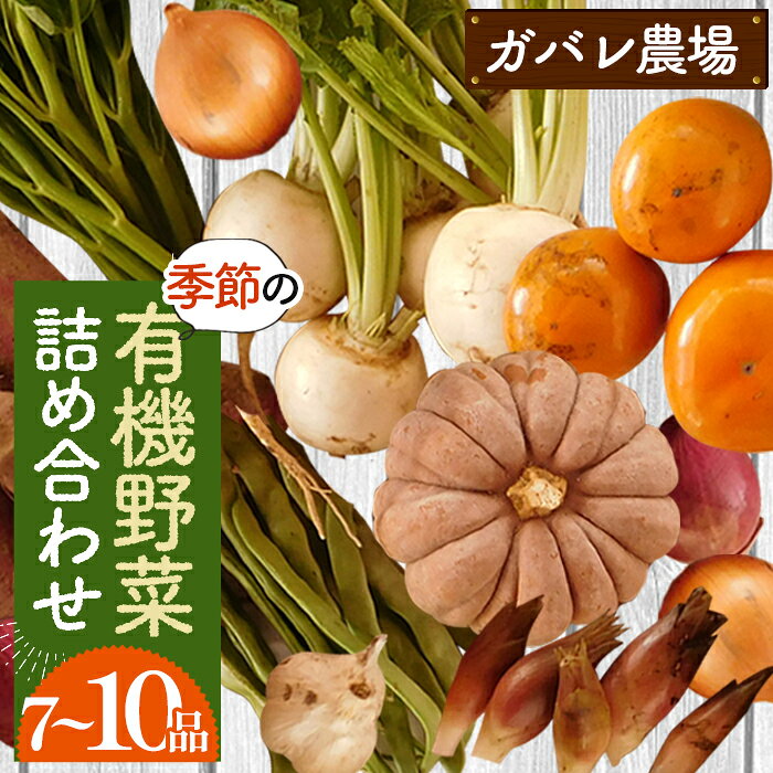 【ふるさと納税】ガバレ農場の季節の有機野菜詰め合わせセット ／ 7～10品 有機野菜 セット 季節の野菜 旬野菜 国産 採れたて 新鮮 オーガニック 有機JAS認定農場 ガバレ農場 No.058