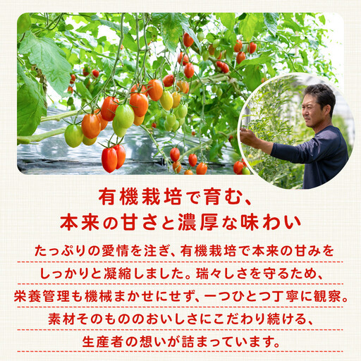 ［2026年5月出荷分］和歌山産ミニトマト「アイコトマト」約1kg（S・Mサイズおまかせ）［TM232］