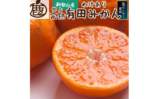 ＜先行予約＞＜12月発送予定＞家庭用 濃厚みかん約5kg+150g（傷み補償分）【わけあり・訳あり】【光センサー選果】※北海道・沖縄・離島配送不可 / 和歌山  みかん ミカン 柑橘  フルーツ 果物