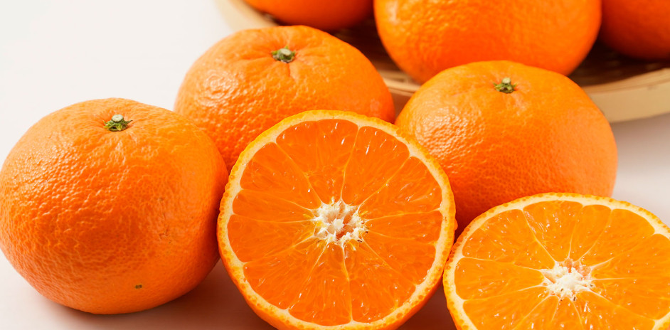 贈答用 森本農園の手選別 津の輝 約2kg 和歌山県産 L～2Lサイズ［北海道・沖縄・離島配送不可］［RN141］ 303446_DJ90141