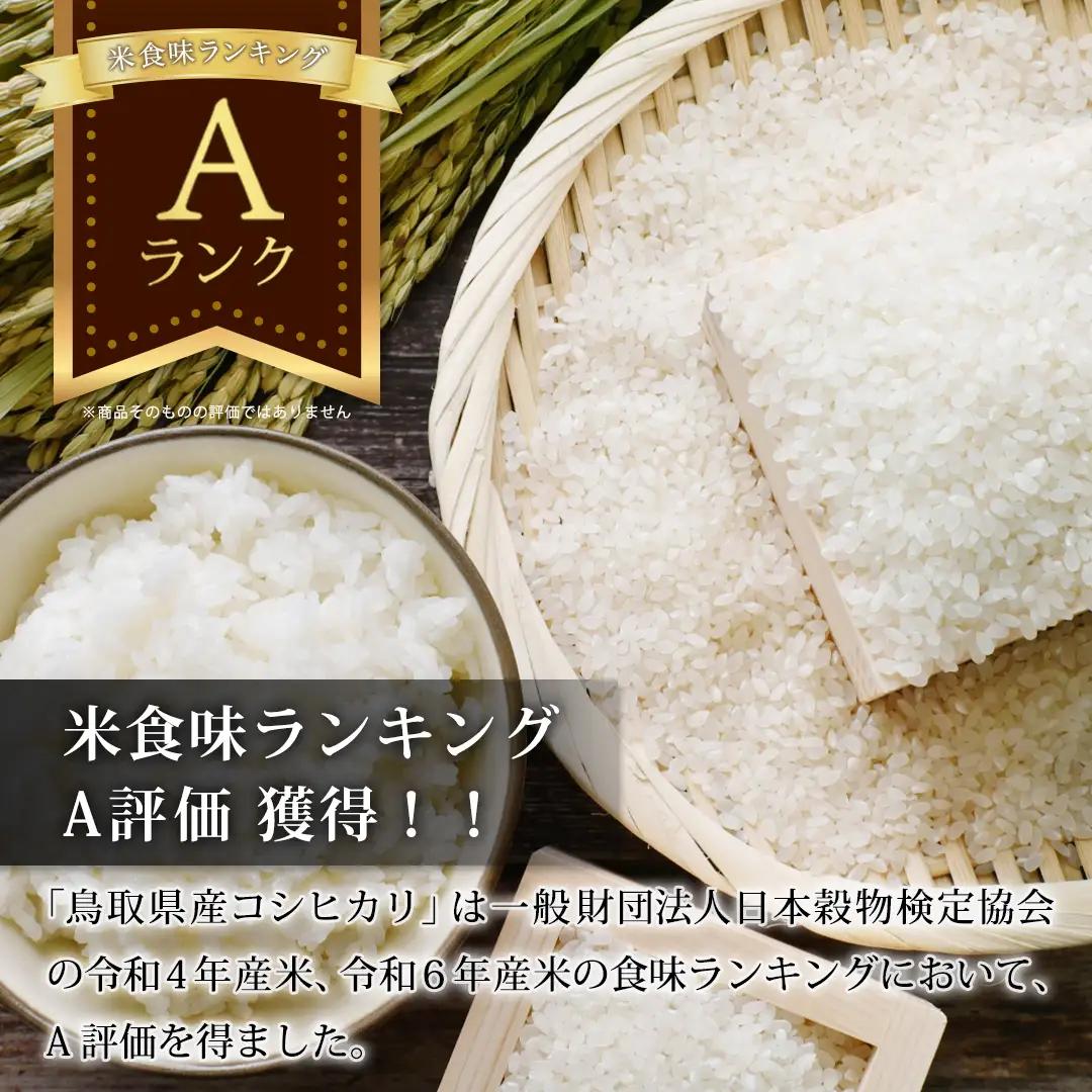 Y1111 因幡の白兎米 コシヒカリ 令和8年度産 精米済 5kg