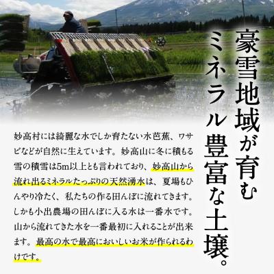 ふるさと納税 妙高市 【2025年11月中旬発送】令和7年産 新潟県妙高産つきあかり5kg無洗米 |  | 02