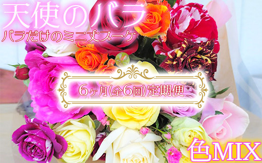 【天使のバラ】全6回定期便 薔薇だけのミニ丈ブーケ(色MIX)＜141-812＞