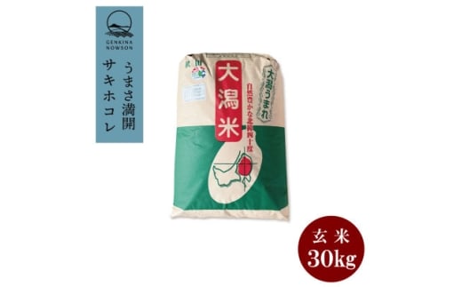 ＜毎月定期便＞サキホコレ30kg　1等　玄米全12回【4072959】