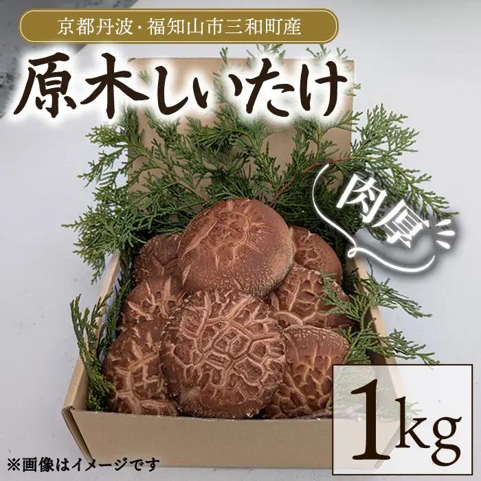 京都丹波 原木しいたけ 1kg 丹波かなまろんふぁーむ