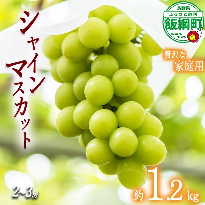 【ふるさと納税】 シャインマスカット 贅沢な家庭用 約1.2kg 2〜3房 松澤農園 配送は本州限定 令和7年度収穫分 長野県 飯綱町 〔 ぶどう ブドウ 果物 フルーツ 信州 長野 13000円 予約 農家直送 〕発送時期：2025年9月中旬〜2025年10月中旬