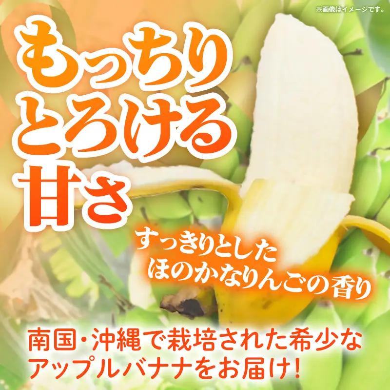 畑人のアップルバナナ 約2kg - バナナ ばなな 小ぶり もっちり とろける 甘さ 追熟 沖縄県 産地直送 果物 フルーツ 南国 朝食 おすすめ 沖縄県 八重瀬町
