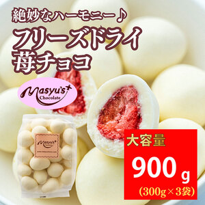 フリーズドライ苺チョコ 900g 300gx3袋 11月～3月発送 チョコレート チョコ スイーツ お菓子 おかし いちご ホワイトチョコ ギフト プレゼント 兵庫県 伊丹市