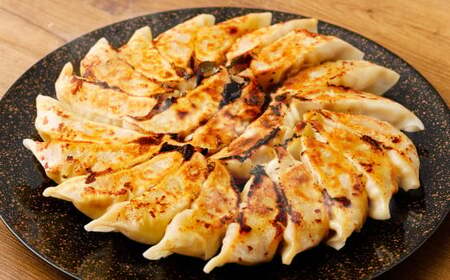 餃子 はちやの餃子 大袋 30個×2袋 【04203-0453】