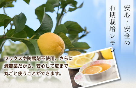 【有機】せとうちレモン　今治産　5kg【K002330KG5】