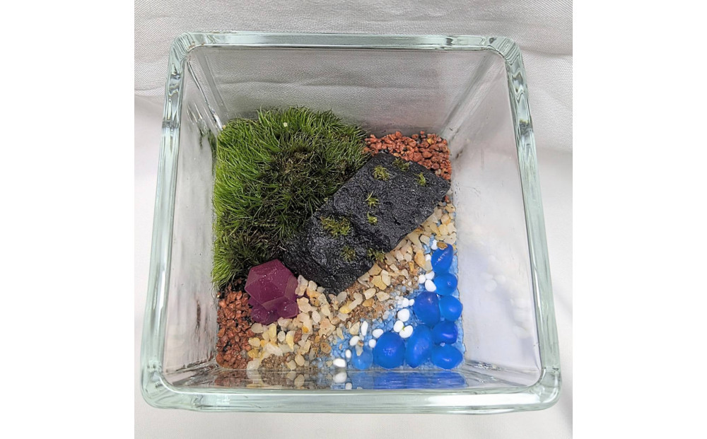 ポートの記憶、テラリウムに