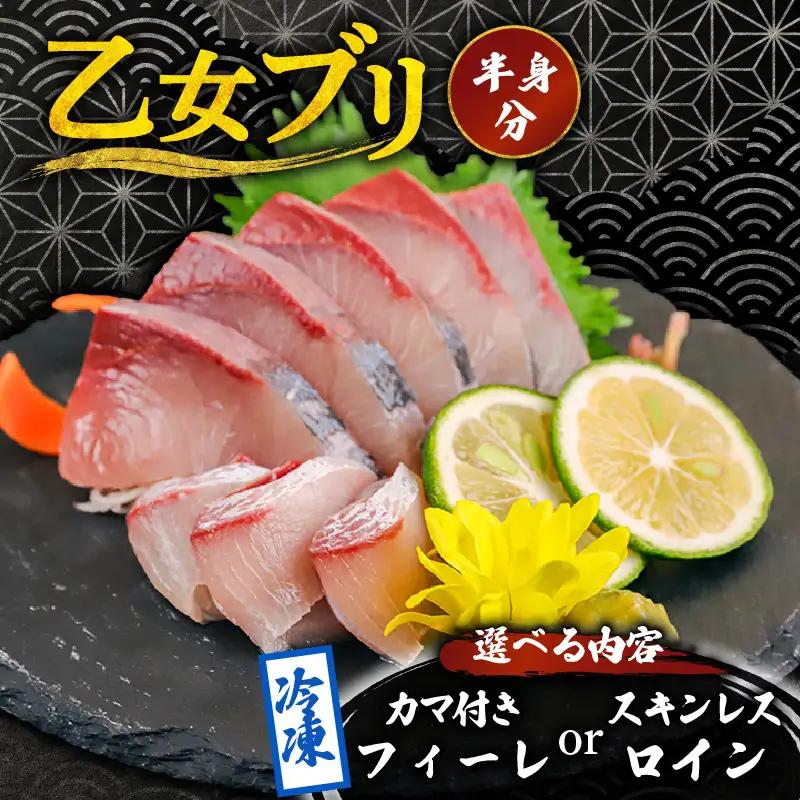乙女 ブリ 半身 カマ付き 800g以上 冷凍 約 3 ～ 5人前 ks043