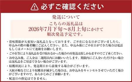《先行予約》｢丸坂山田農園｣山之上梨 長寿 1箱 （ 約2.5kg ／ 5～8玉 ） 【2026年7月下旬～8月上旬 発送予定】 │ 梨 ナシ なし くだもの 果物 果実 フルーツ 冷蔵 岐阜県産 国