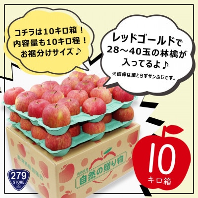 10月下旬頃発送 レッドゴールド 家庭用 10キロ箱 10kg 28～40玉 津軽りんご 産地直送【配送不可地域：離島】