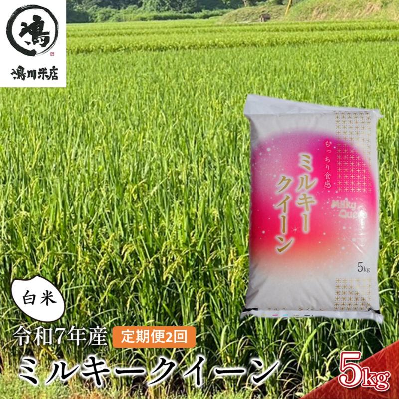 【ふるさと納税】2ヶ月定期便　令和7年 ミルキークィーン　白米　5kg お米 銘柄米 ご飯 おにぎり お弁当 和食 食卓 精米 国産 千葉県産 産地直送