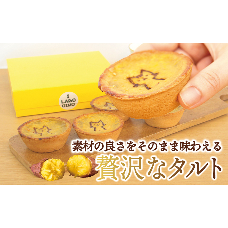 国産紅はるか100％使用 干し芋屋のスイートポテトタルト【紅はるか 芋 いも イモ おやつ タルト サツマイモ】 099H4535_イメージ4