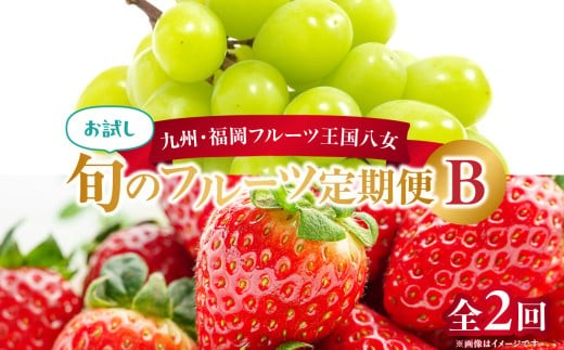 
                  九州・福岡フルーツ王国八女 お試し旬のフルーツ定期便【全2回】B ＜配送不可：北海道・沖縄・離島＞ フルーツ 定期便 あまおう シャインマスカット 季節のフルーツ 果物 おすすめ セット 産地直送 福岡県 八女市
                