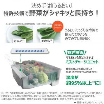 ふるさと納税 川崎市 東芝　冷蔵庫【標準設置費込み】　643L　6ドア　両開き　冷凍冷蔵庫　GR-Y640XFS(TH) |  | 02