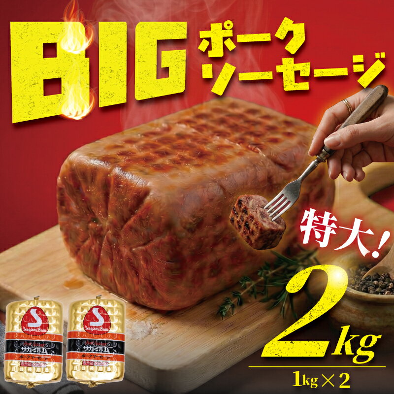 【ふるさと納税】 ソーセージ 2kg 1kg × 2 ポークソーセージ ウインナー ウィンナー そーせーじ うぃんなー 加工 食品 弁当 おかず スライス バーベキュー ソーセージステーキ サラダ 人気 大容量 サガミハム エア・ウォーターアグリ＆フーズ株式会社 湘南 神奈川 藤沢