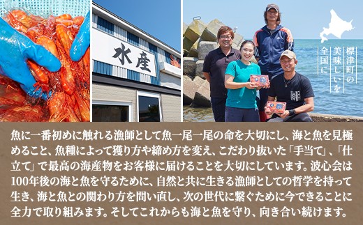 刺身セット 2人前 50g ×5~7種 北海道産 魚貝 魚介 海鮮 海産物 海の幸 魚 酒 日本酒 お刺身 刺身 手巻き寿司 醤油 しょうゆ ごはん ちらし寿司 旬 地物 魚 魚介類 魚貝類 つまみ 