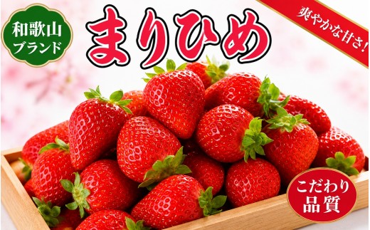 【先行予約】和歌山オリジナルブランドいちご「まりひめ」約250ｇ×4パック / イチゴ 苺 ストロベリー フルーツ 果物 デザート 加工 紀州 和歌山 ※2027年3月上旬頃〜3月下旬頃に順次発送（お届け日指定不可）【uot758B】