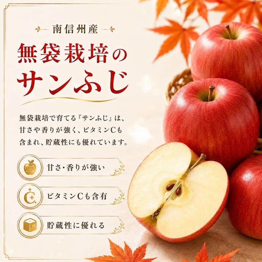 【南信州産】 サンふじ 約5kg 秀品 (10～20玉)【2026年11月下旬～順次発送】 ＪＡみなみ信州ＤＭセンター飯田市