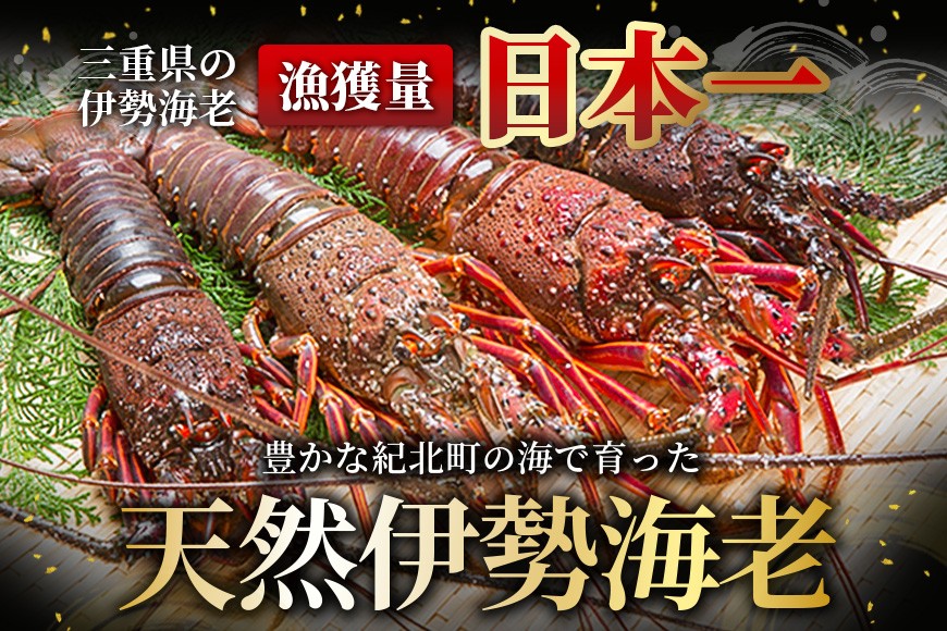 商品発送イメージ
