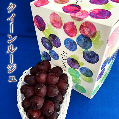 【ふるさと納税】村松農園 クイーンルージュ1房 約500g 果物 新種 葡萄 ブドウ 種なし フルーツ デザート 食後 おやつ 産地直送 長野県産
