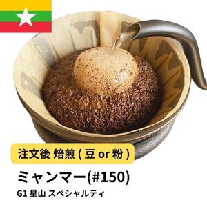 【豆】コーヒー #150 ミャンマー G1 星山 310g 当日焙煎 大山珈琲