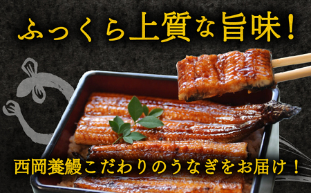 【 うなぎの蒲焼き 】 うなぎの蒲焼 定期便 計4尾 ( 120g × 2尾 × 2回 ) 