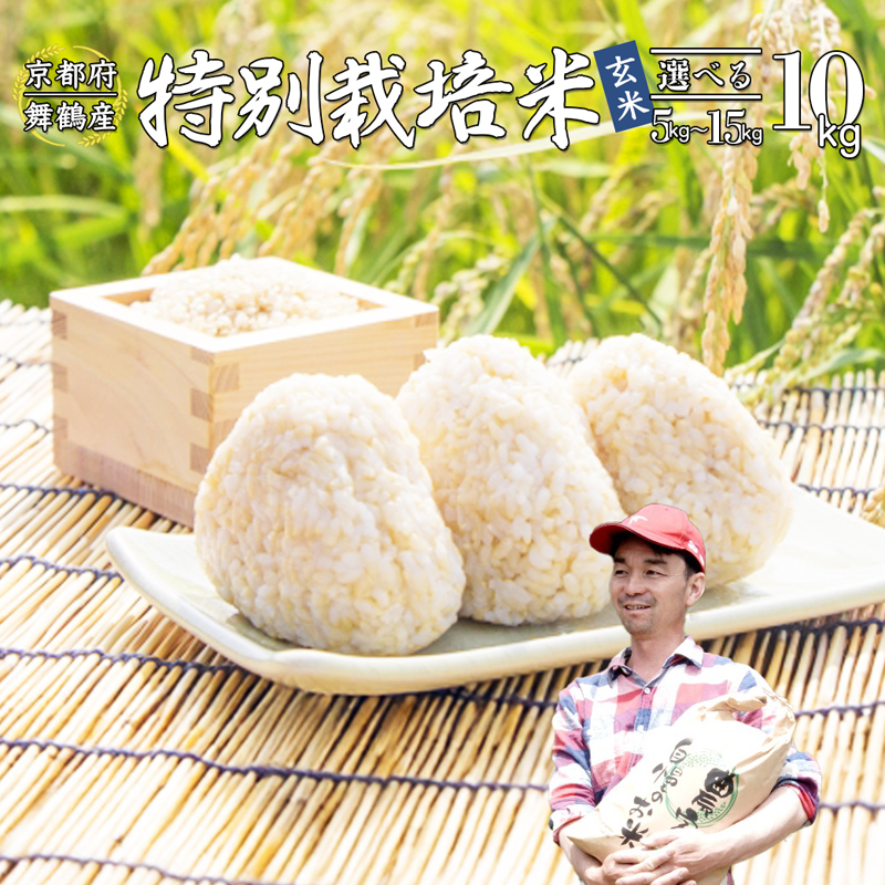 【令和7年度産 新米 先行予約】 棚田米 10kg 玄米 ： コシヒカリ 特別栽培米 7割削減 京都産 お米 農家直送 こしひかり 米 ご飯 玄米ご飯 げんまい 低農薬 減農薬 栽培 棚田 低農薬米 減農薬米 おいいしお米