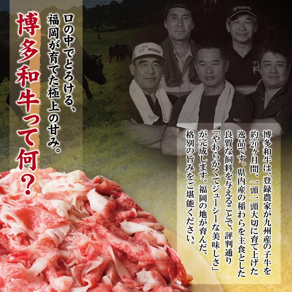 Z61-190-01 【訳あり】博多和牛 切り落とし1.2㎏ 牛肉