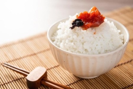 ご飯にピッタリ！昔ながらのすっぱい梅干し（紫蘇梅） Y097