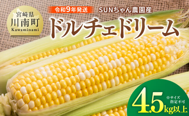 【令和9年発送】SUNちゃん農園産「ドルチェドリーム4.5kg以上（サイズ指定不可）」 【 とうもろこし スイートコーン トウモロコシ スィートコーン 令和9年発送 】