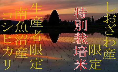 【令和7年産】【定期便5kg×9ヶ月】特別栽培 しおざわ産限定 生産者限定 南魚沼産コシヒカリ【2025年10月上旬より順次発送予定】