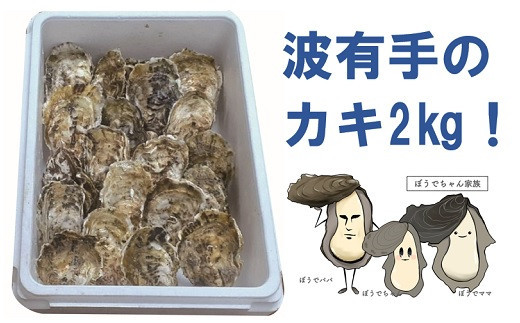 波有手（ぼうで）のカキ 2kg 【2024年12月下旬から2025年2月下旬発送予定】 海鮮 魚貝類 かき カキ 牡蠣 生ガキ