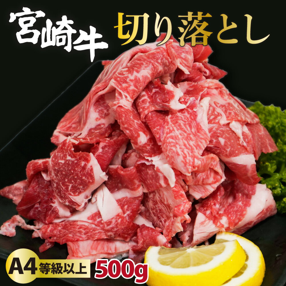 【ふるさと納税】＜冷凍＞A4等級以上！宮崎牛切り落とし(250g×2P・計500g)とろける旨み！【スーパーほりぐち】【KU207】