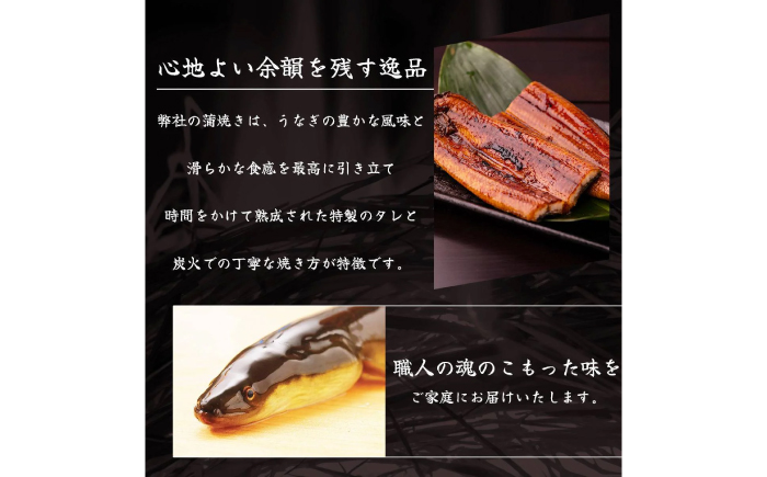 高知県産 うなぎ 長蒲焼2尾 約160g×2 (2～4人前)/ 鰻 ウナギ 土用丑の日 高知産 うなぎ 【土佐黒潮水産】 [ATCQ009]
