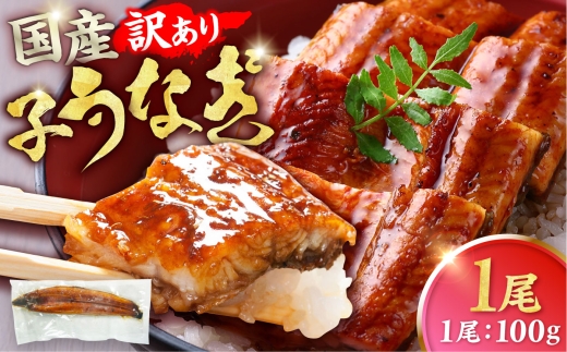 【訳あり】国産鰻（100g×1尾） 広川町 / 株式会社イールファクトリー [AFBS035]