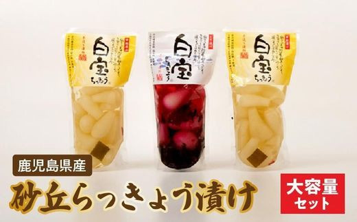 017-04 鹿児島県産砂丘らっきょう漬け大容量セット