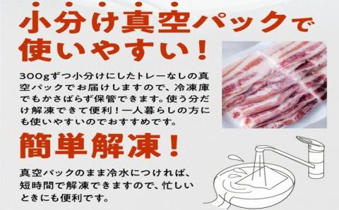 【全6回】かごしま黒豚スライス定期便ハーフ 052-20